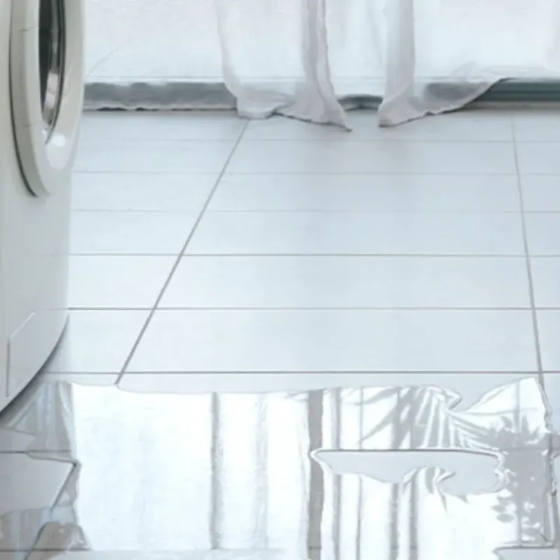 Appliance Leak Cleanup in Stoneville, NC