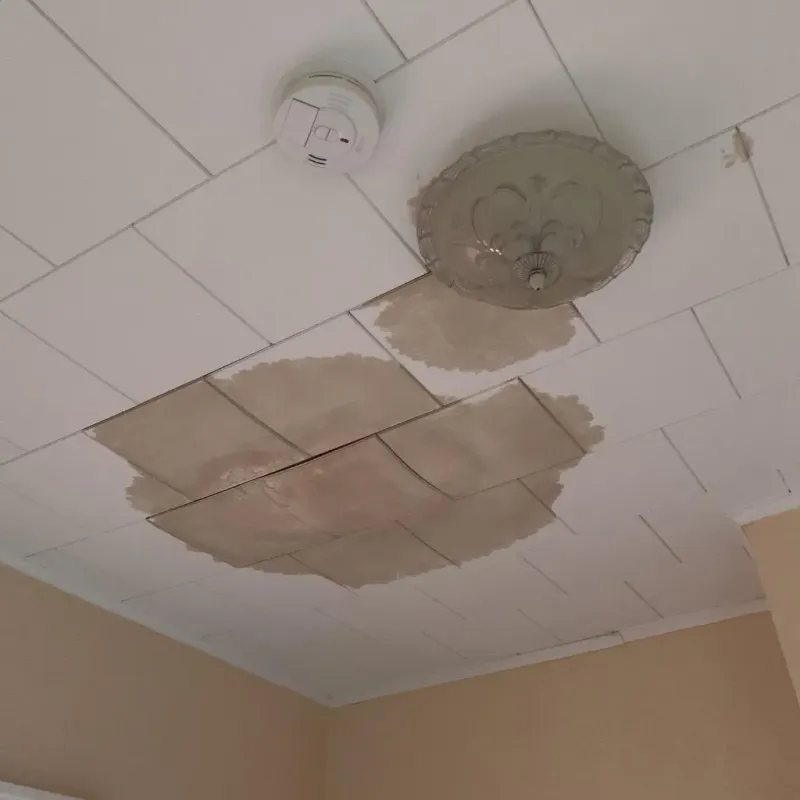 Ceiling Water Damage Repair in Stoneville, NC