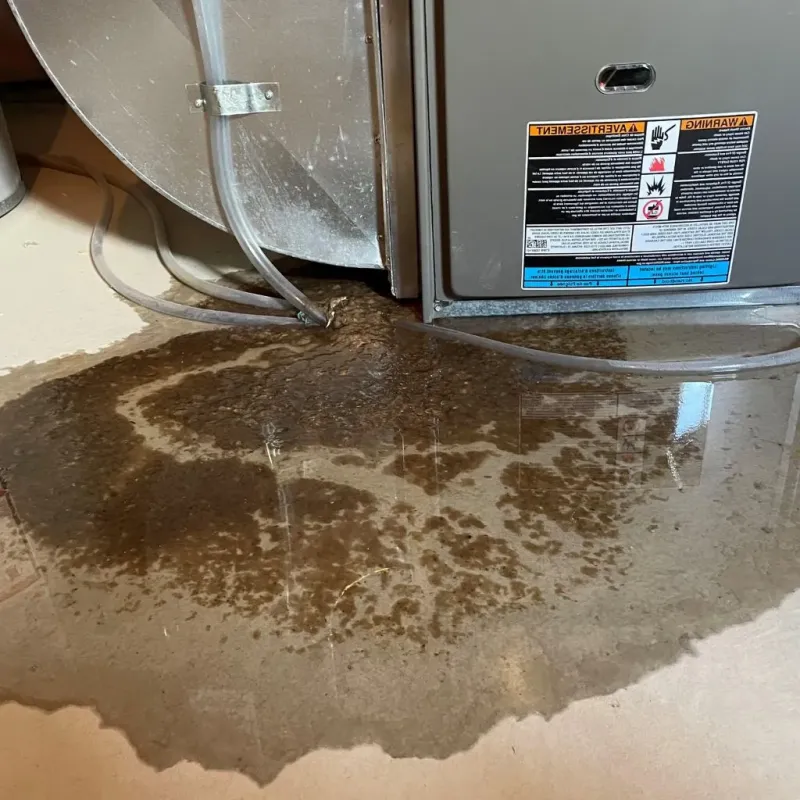 Pipe Burst and Leak Restoration in Stoneville, NC