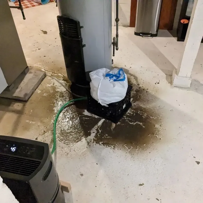 Sewage Backup Cleanup Service in Stoneville, NC